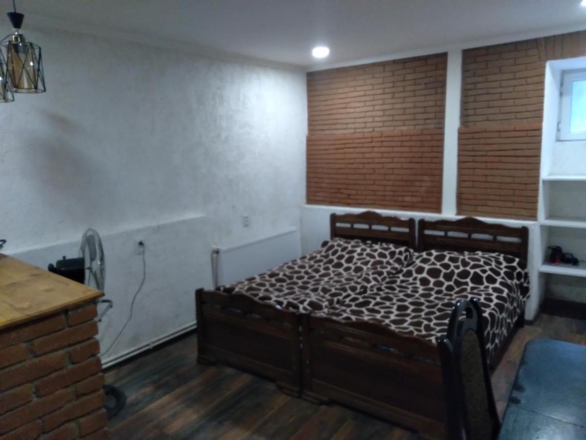 Apartmán Sani Tbilisi Exteriér fotografie